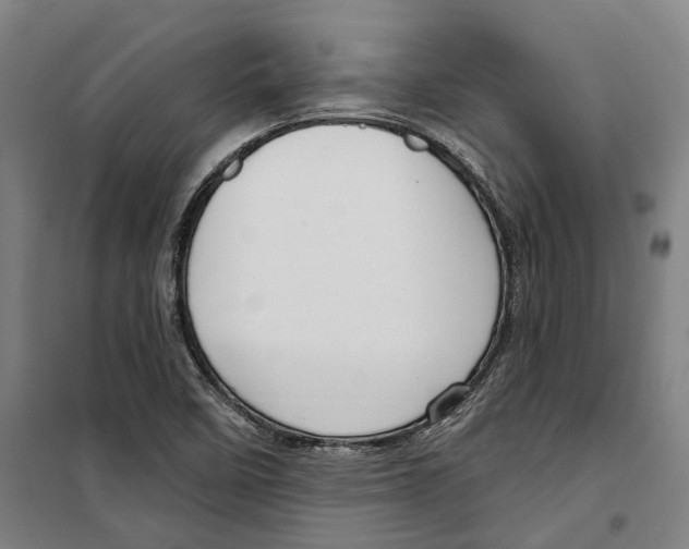 X0000099521458200806121451