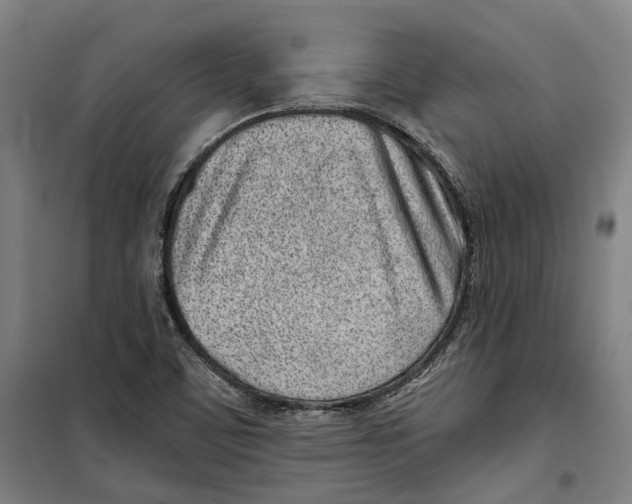 X0000099521459200806121451