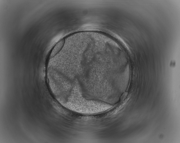 X0000099521461200806121451