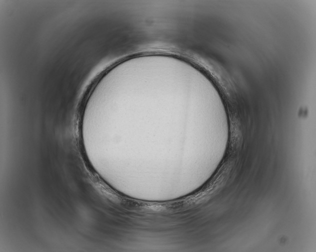 X0000099521462200806121451