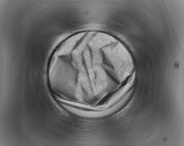 X0000099521469200806121451