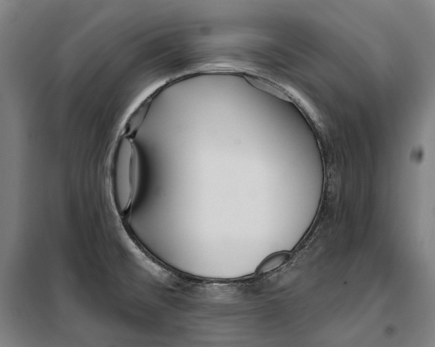 X0000099521476200806121451