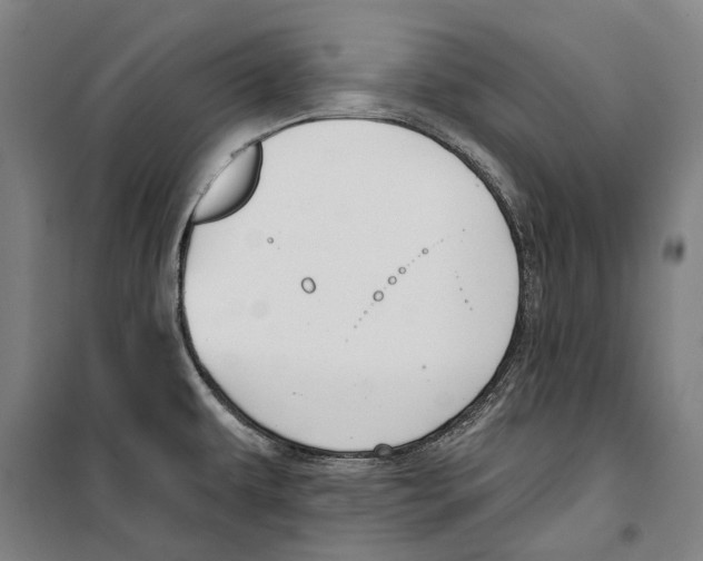 X0000099521479200806121451