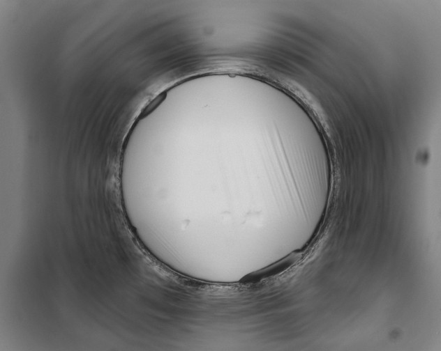 X0000099521481200806121451