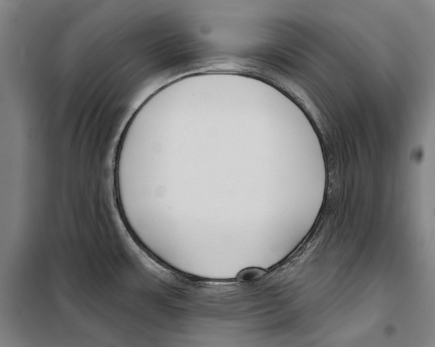 X0000099521483200806121450