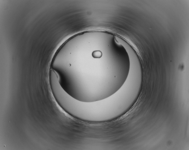 X0000099521484200806121450