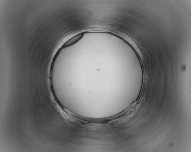 X0000099521485200806121450