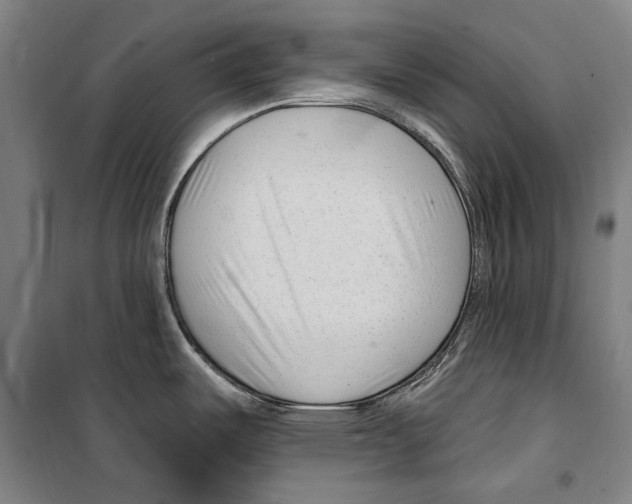 X0000099521487200806121450