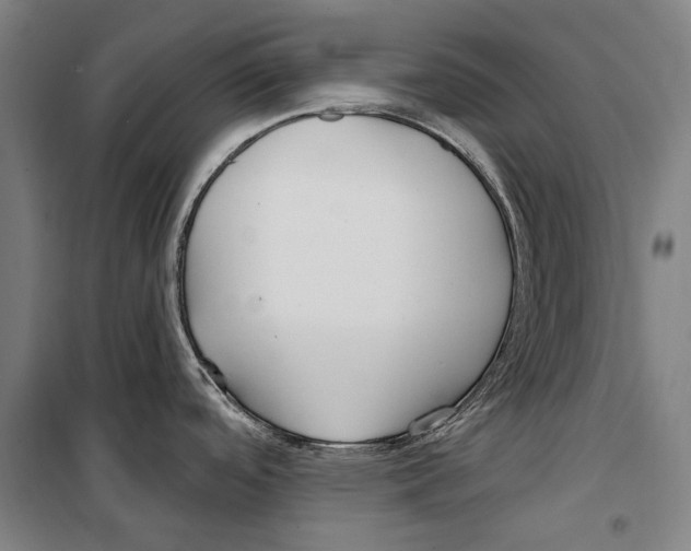 X0000099521488200806121450