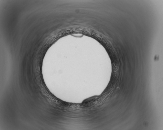 X0000099521489200806121450