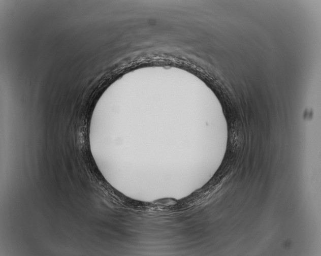 X0000099521490200806121450