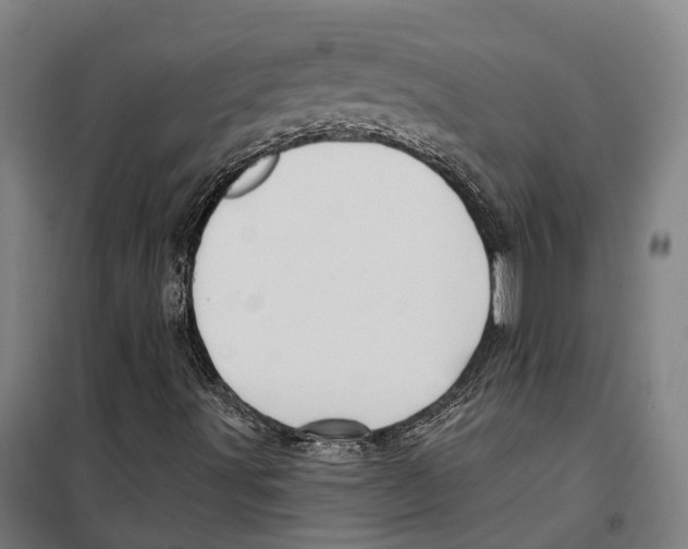 X0000099521491200806121450