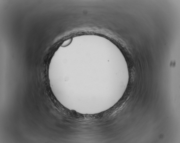 X0000099521494200806121450