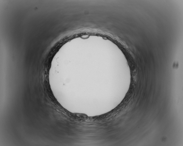 X0000099521495200806121450