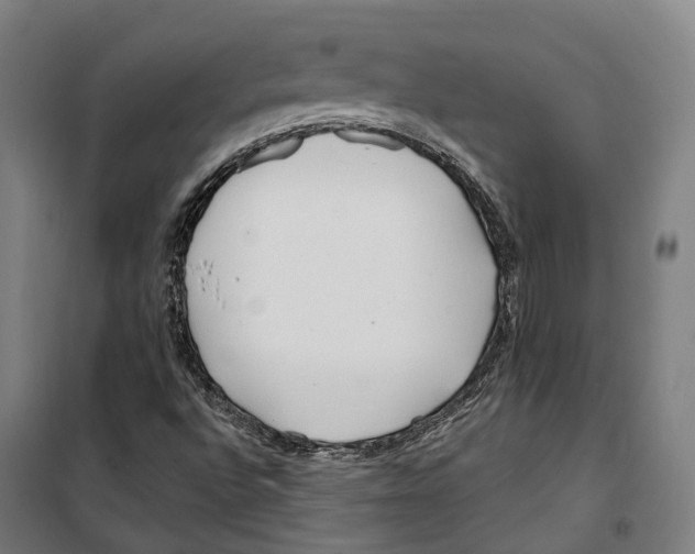 X0000099521496200806121450