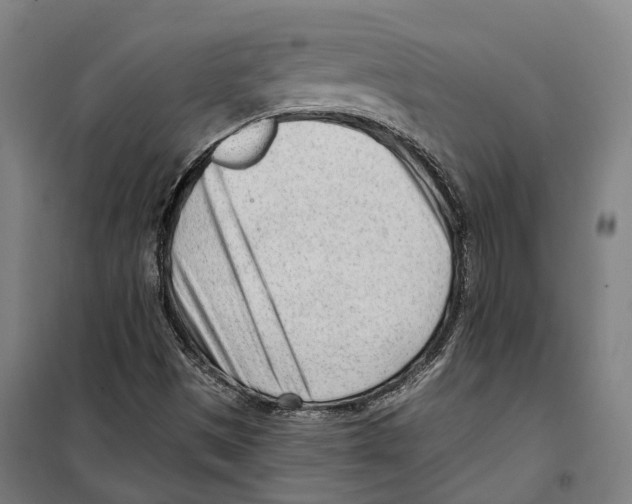 X0000099521497200806121450