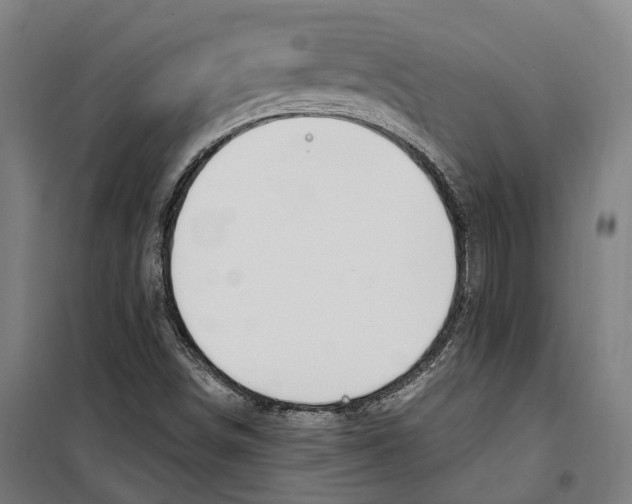 X0000099521498200806121450