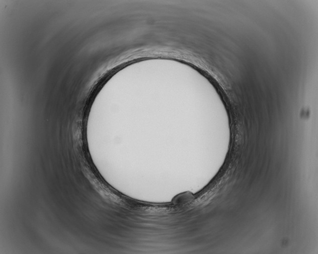 X0000099521499200806121450