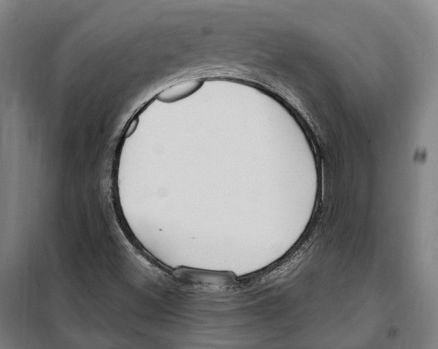 X0000099521500200806121450