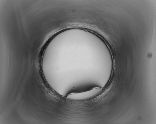 X0000099521501200806121450