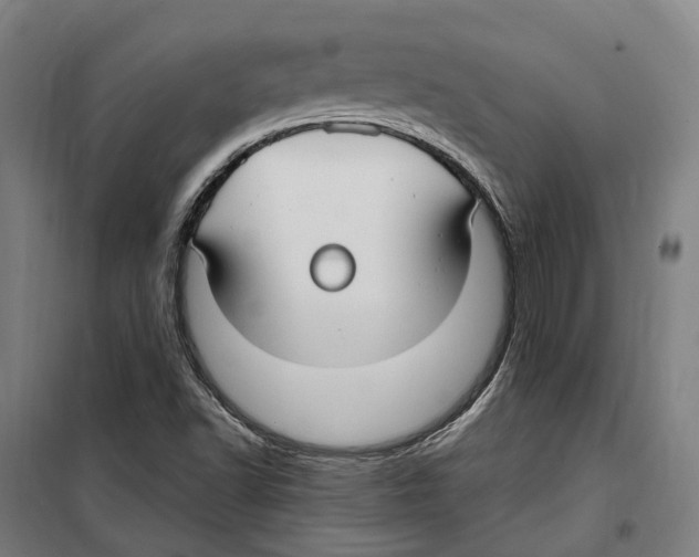 X0000099521502200806121450