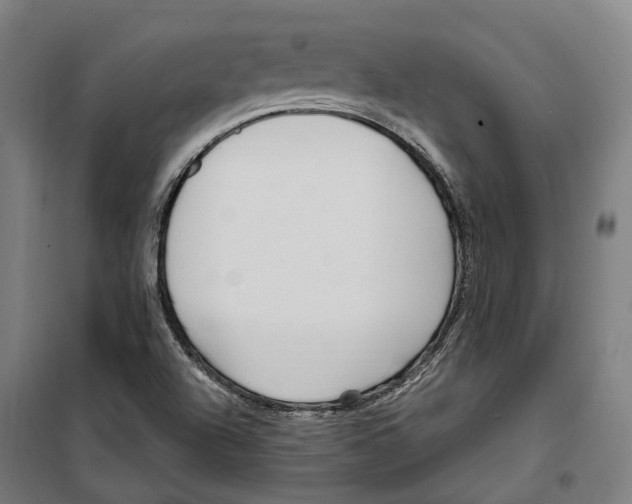 X0000099521504200806121450