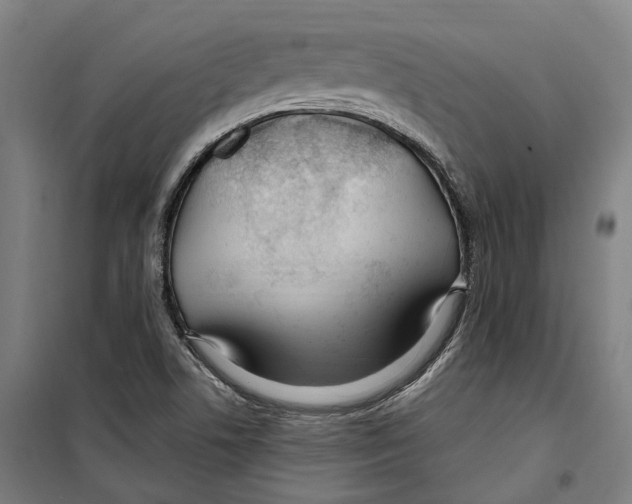 X0000099521506200806121450