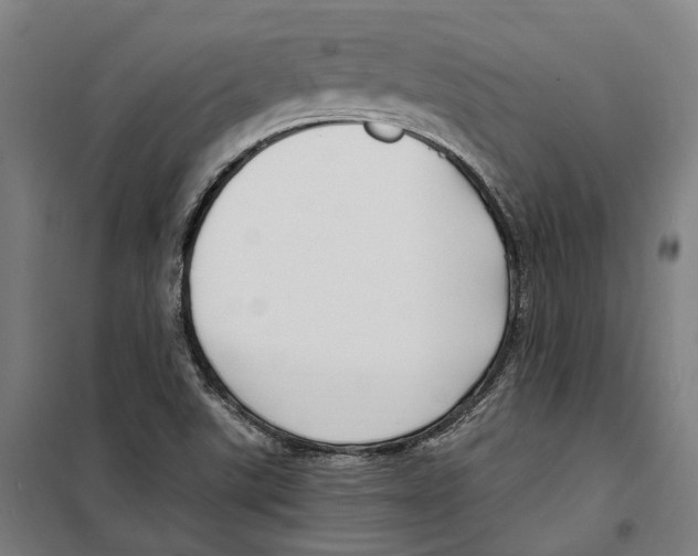 X0000099521507200806121450