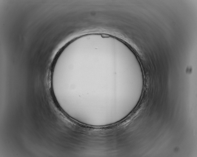 X0000099521510200806121450