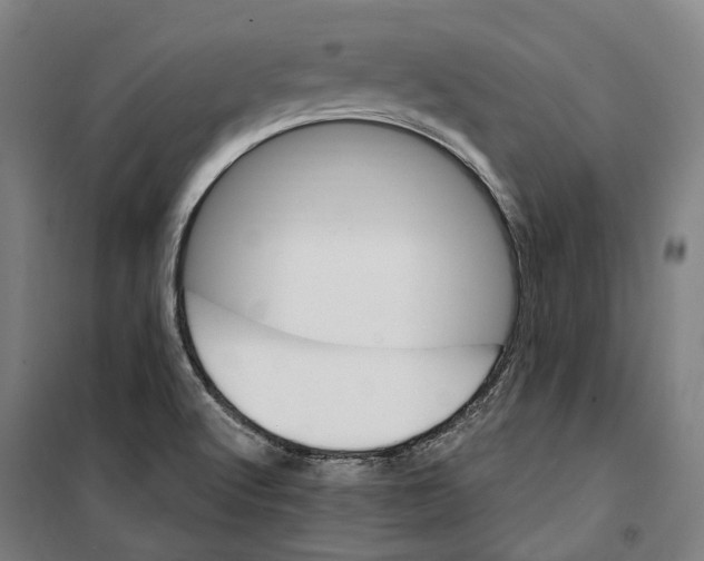 X0000099521512200806121450