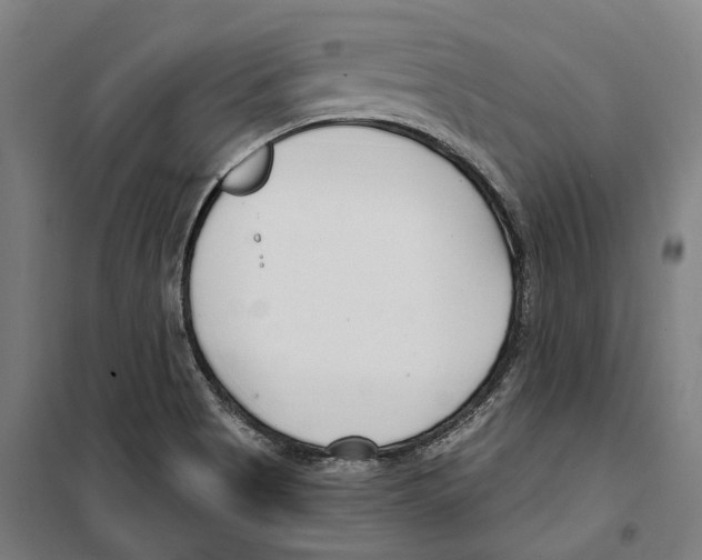 X0000099521513200806121450