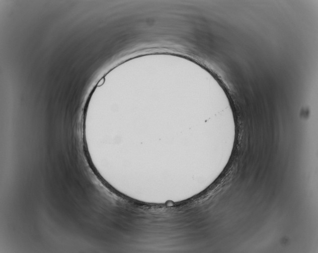 X0000099521516200806121450