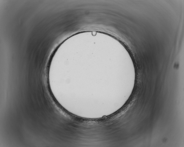 X0000099521517200806121450