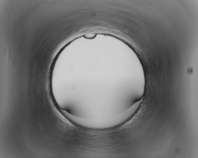 X0000099521518200806121450