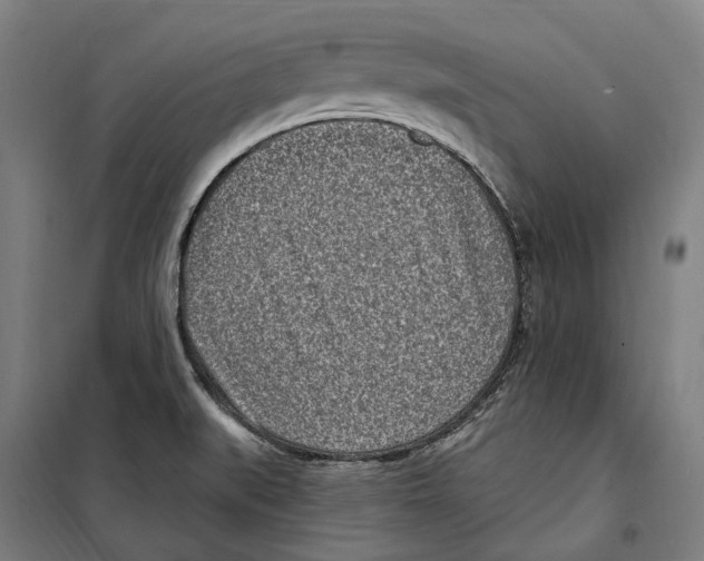 X0000099521519200806121450