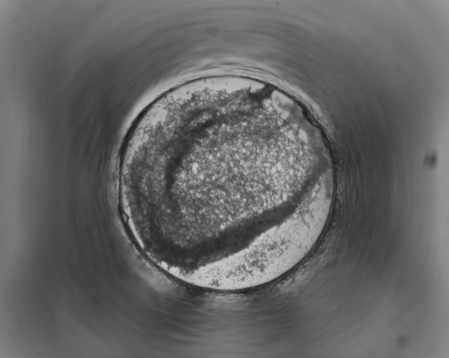 X0000099521522200806121450