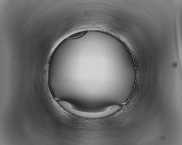 X0000099521524200806121450