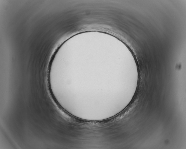 X0000099521525200806121450