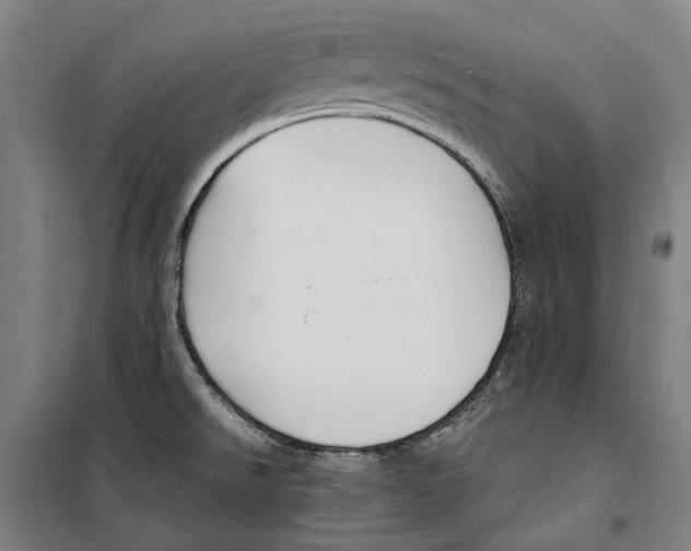 X0000099521526200806121450