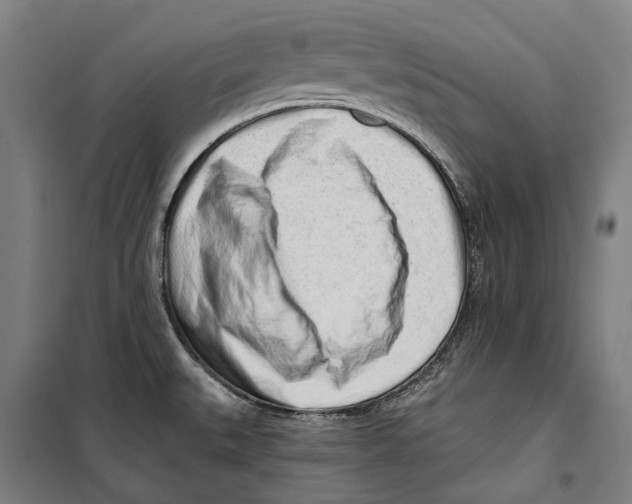 X0000099521527200806121450