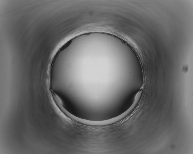 X0000099521528200806121450