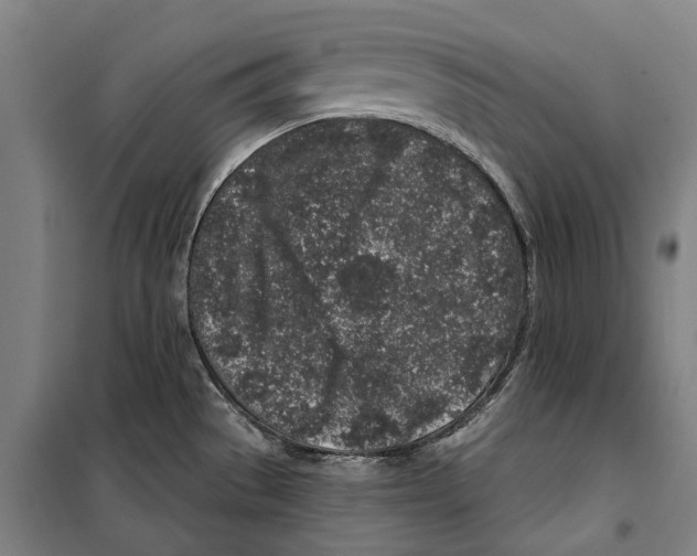 X0000099521529200806121450