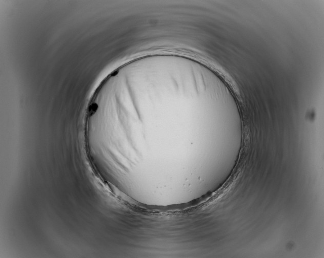 X0000099521530200806121450