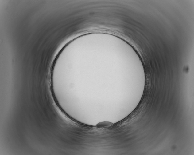 X0000099521531200806121450