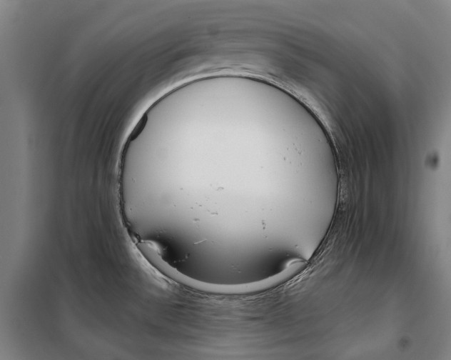 X0000099521532200806121450