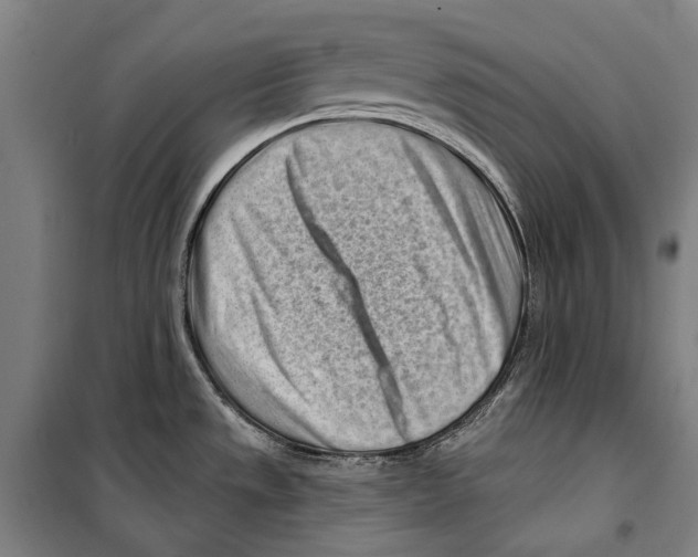 X0000099521533200806121450