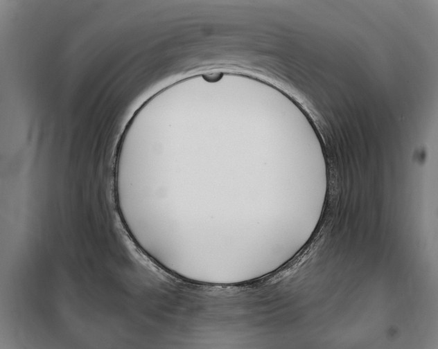 X0000099521534200806121450