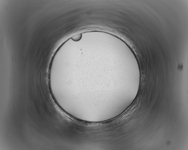 X0000099521535200806121450