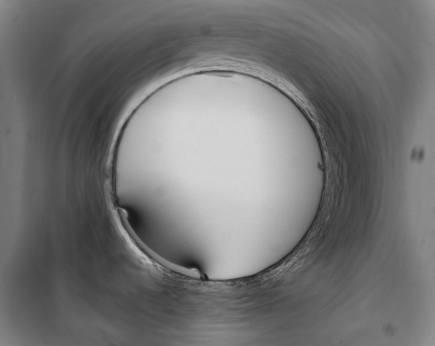 X0000099521536200806121450