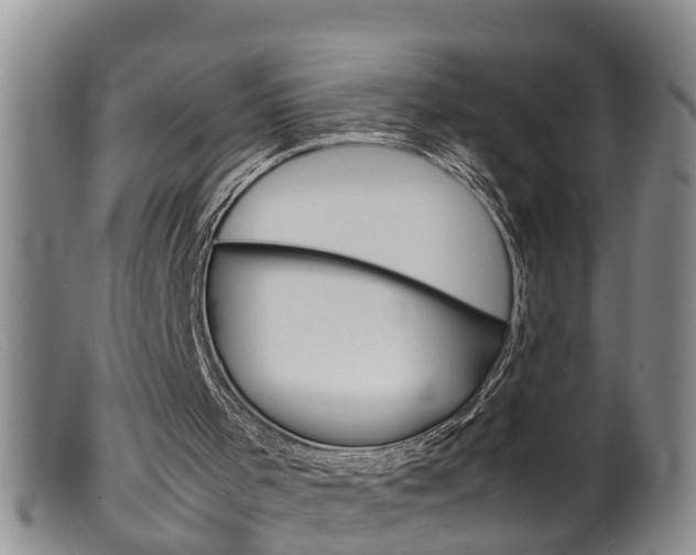 X0000099530001200805160736